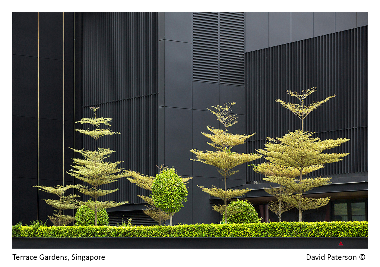 Singapore Terrace Gardens